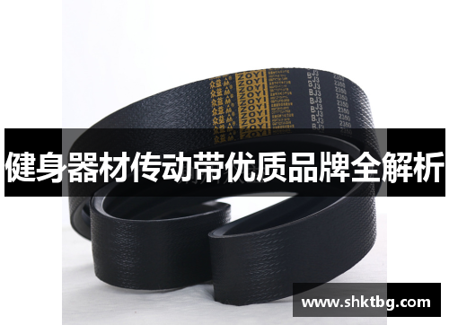 健身器材传动带优质品牌全解析