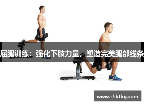 屈腿训练：强化下肢力量，塑造完美腿部线条